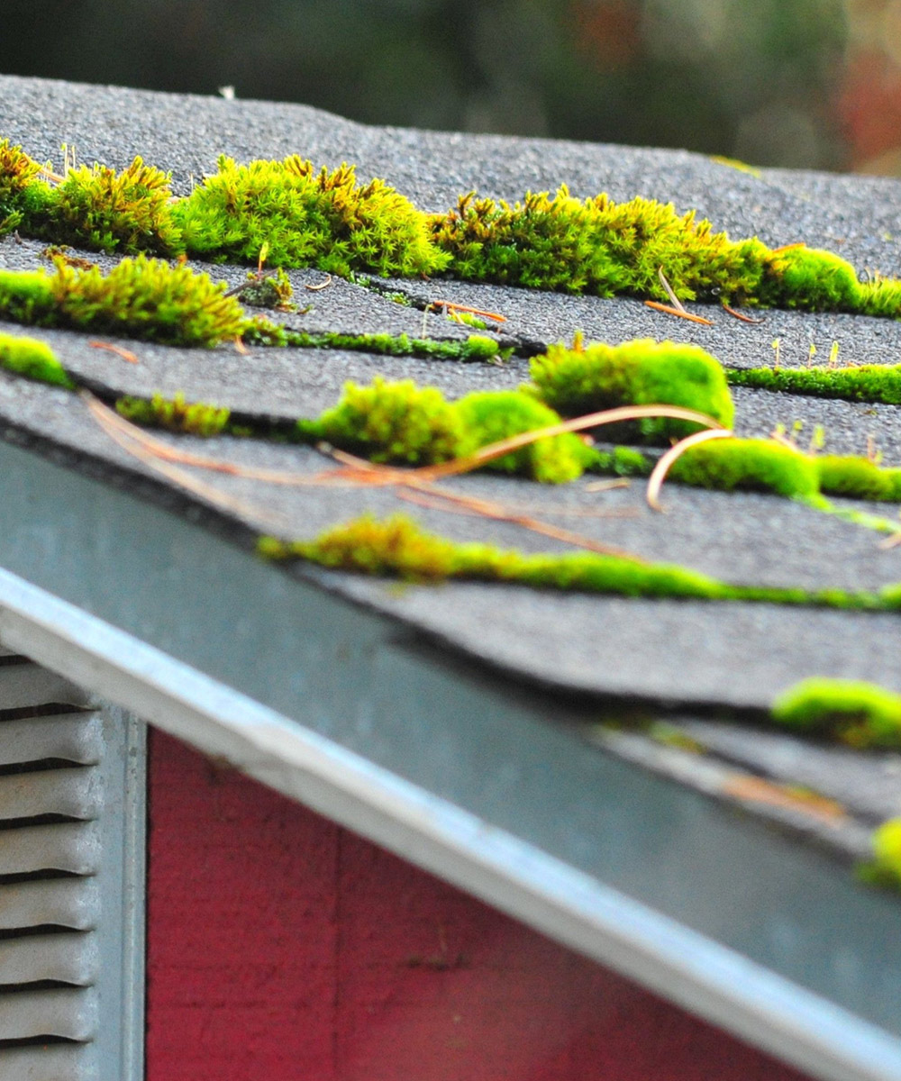 Nettoyage de couverture en tuiles, ardoises et zinc à Saint-Mandé (94160) dans le Val de Marne (94)