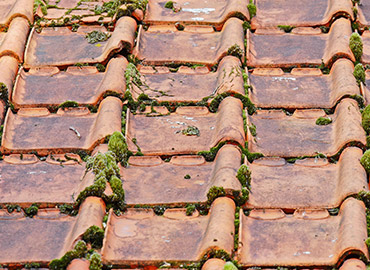 Nettoyage et demoussage de toiture à Saint-Mandé (94160) dans le Val de Marne (94)